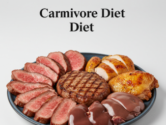 Carnivore diet transformation case study